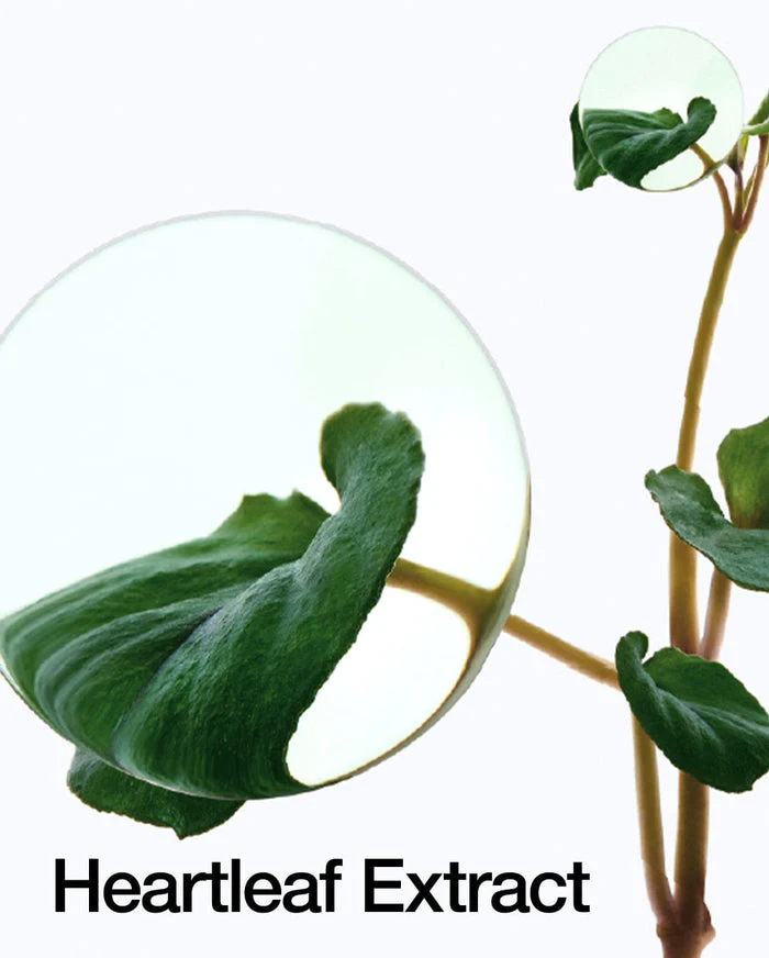 Heartleaf 70% Intense Calming Cream | Anua - image 4