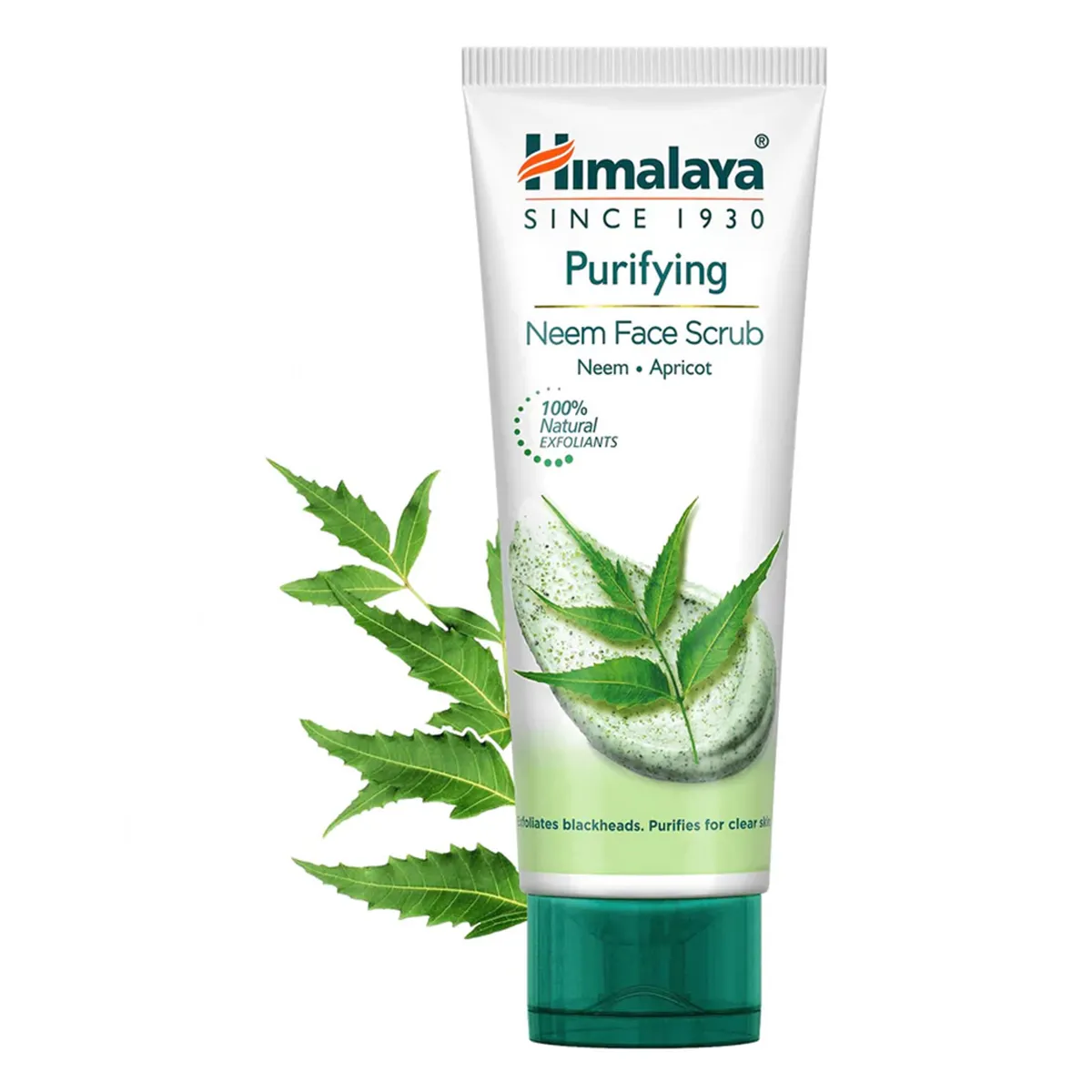 Himalaya face SCUB